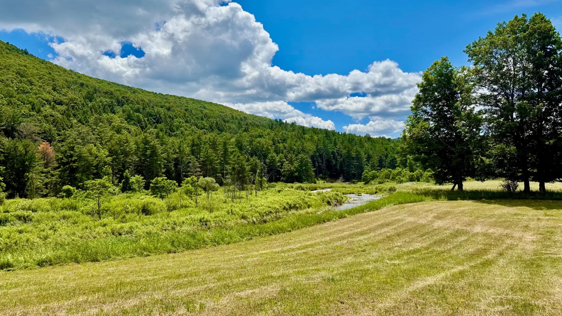 Property at 1061 State Route 990V, Gilboa, NY 12076 68