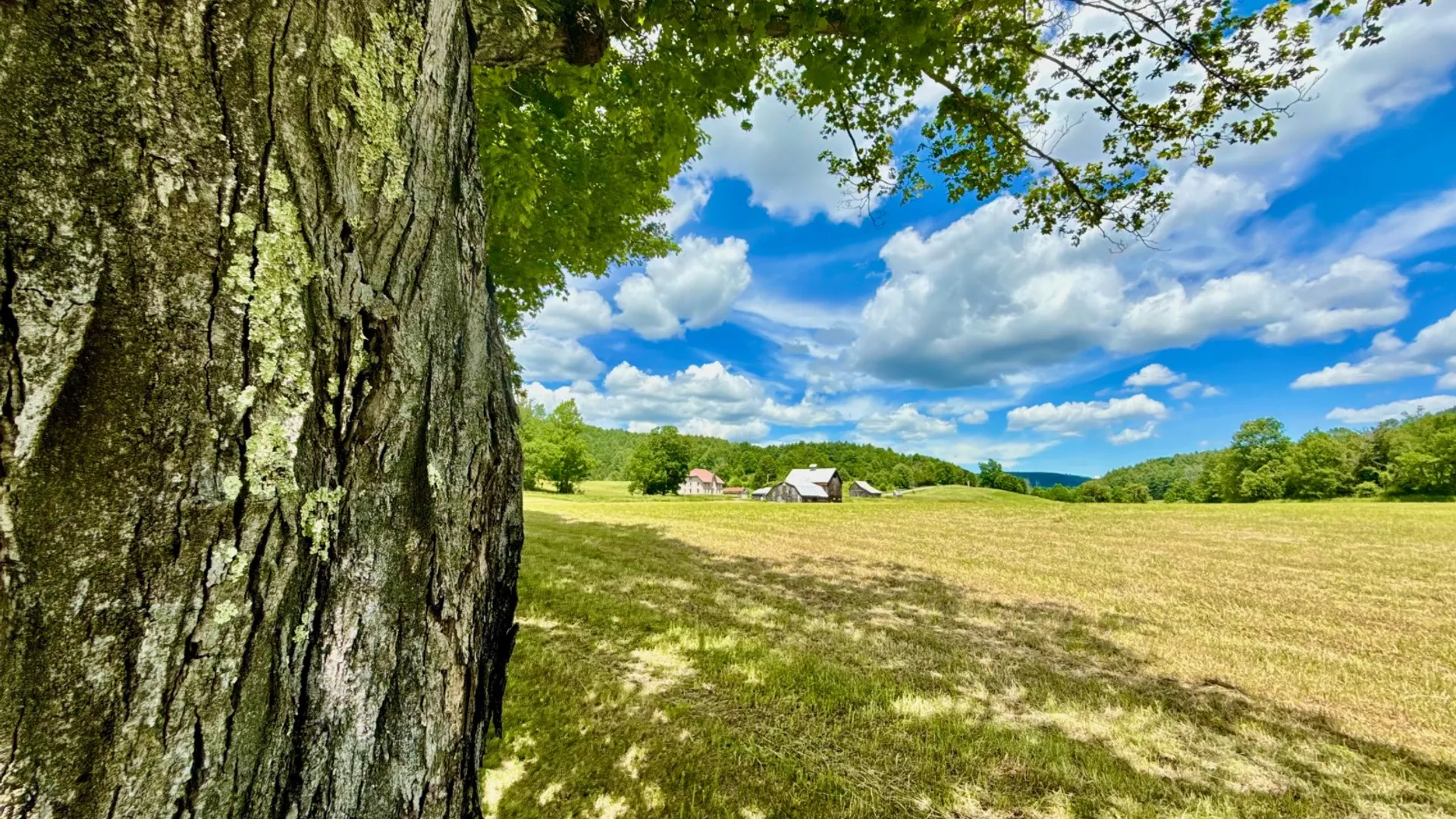 Property at 1061 State Route 990V, Gilboa, NY 12076 27
