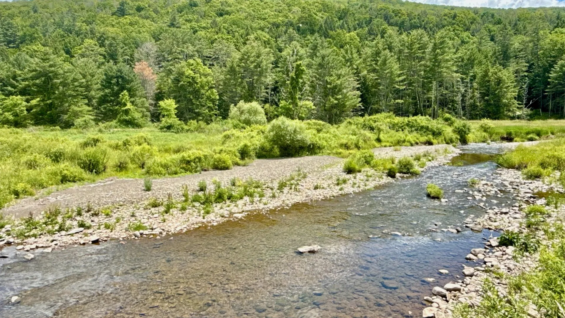 Property at 1061 State Route 990V, Gilboa, NY 12076 64