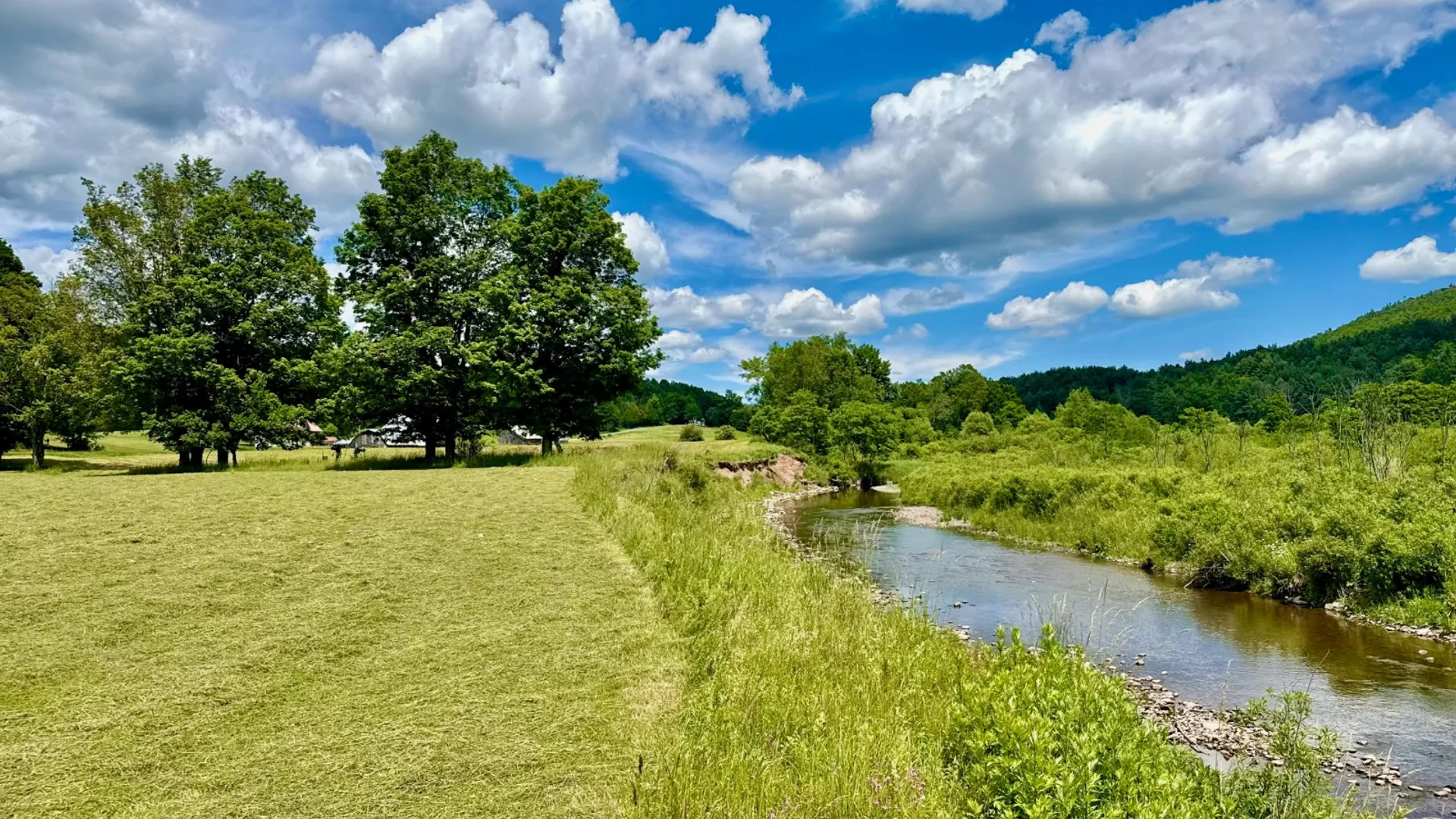 Property at 1061 State Route 990V, Gilboa, NY 12076 66