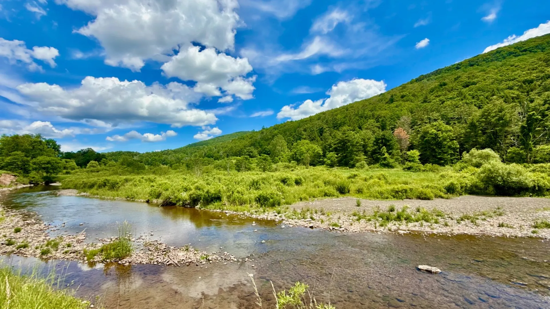 Property at 1061 State Route 990V, Gilboa, NY 12076 67