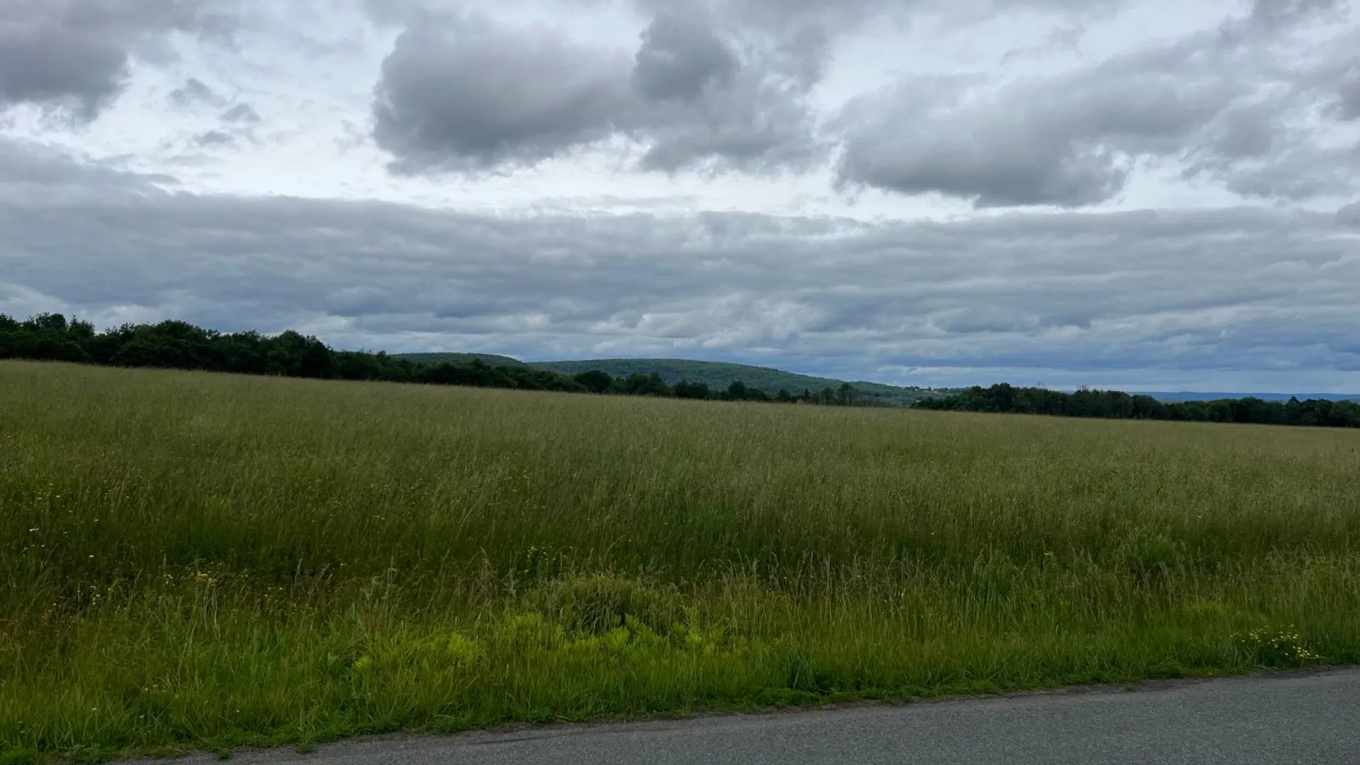 Property at 00 Dessecker Rd, Livingston Manor, NY 12758 3