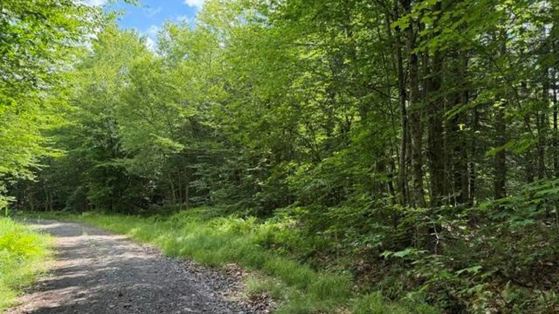 Property at 608 Jerseyfield Rd, Little Falls, NY 13365 14