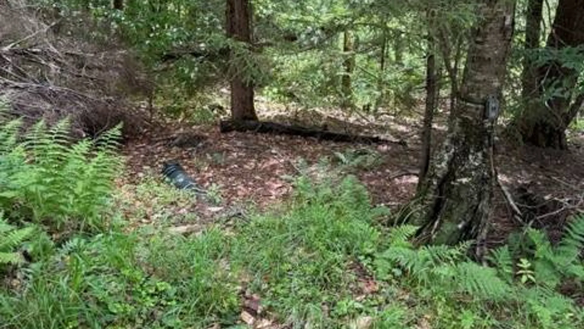 Property at 608 Jerseyfield Rd, Little Falls, NY 13365 15
