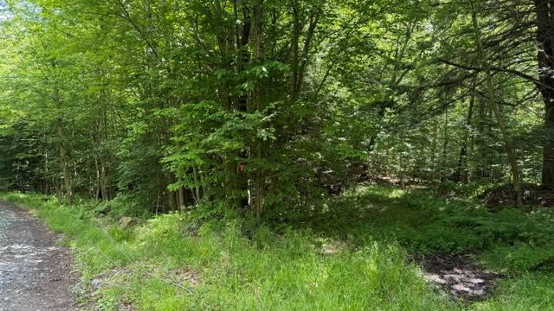 Property at 608 Jerseyfield Rd, Little Falls, NY 13365 17