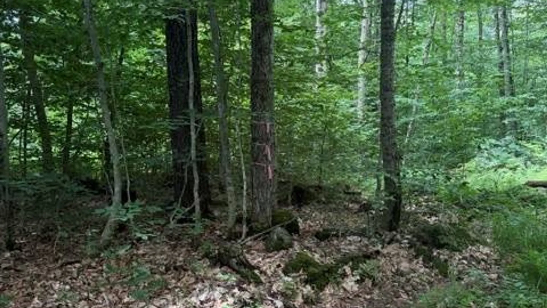 Property at 608 Jerseyfield Rd, Little Falls, NY 13365 9