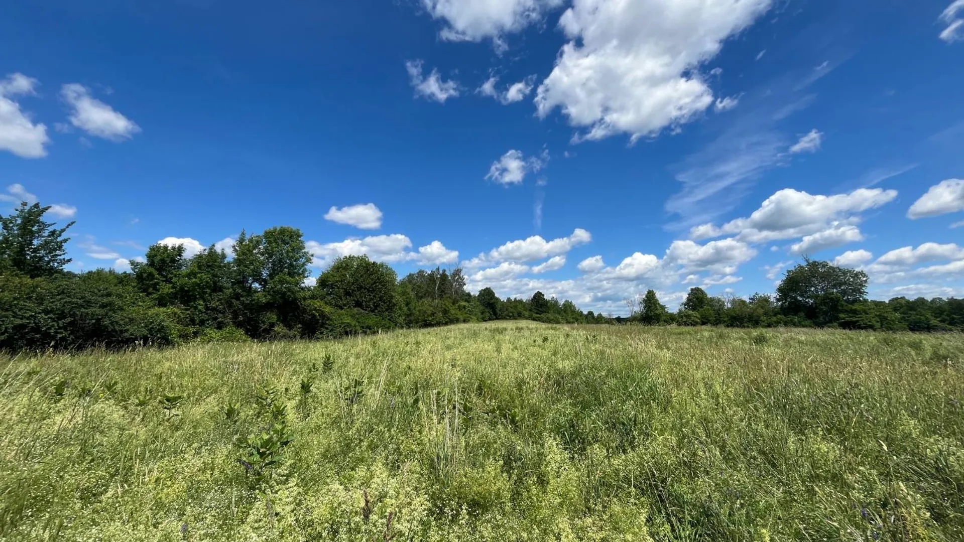 Property at 00 Eddy Pyrites Rd, Canton, NY 13617 11