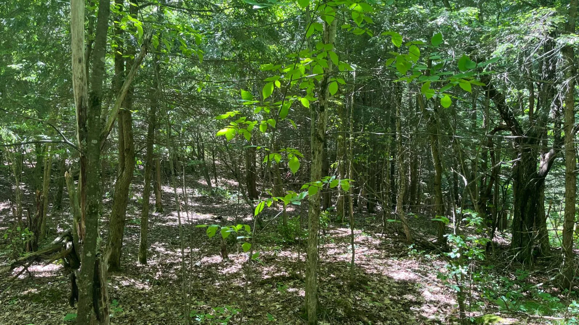 Property at 00 Eddy Pyrites Rd, Canton, NY 13617 14