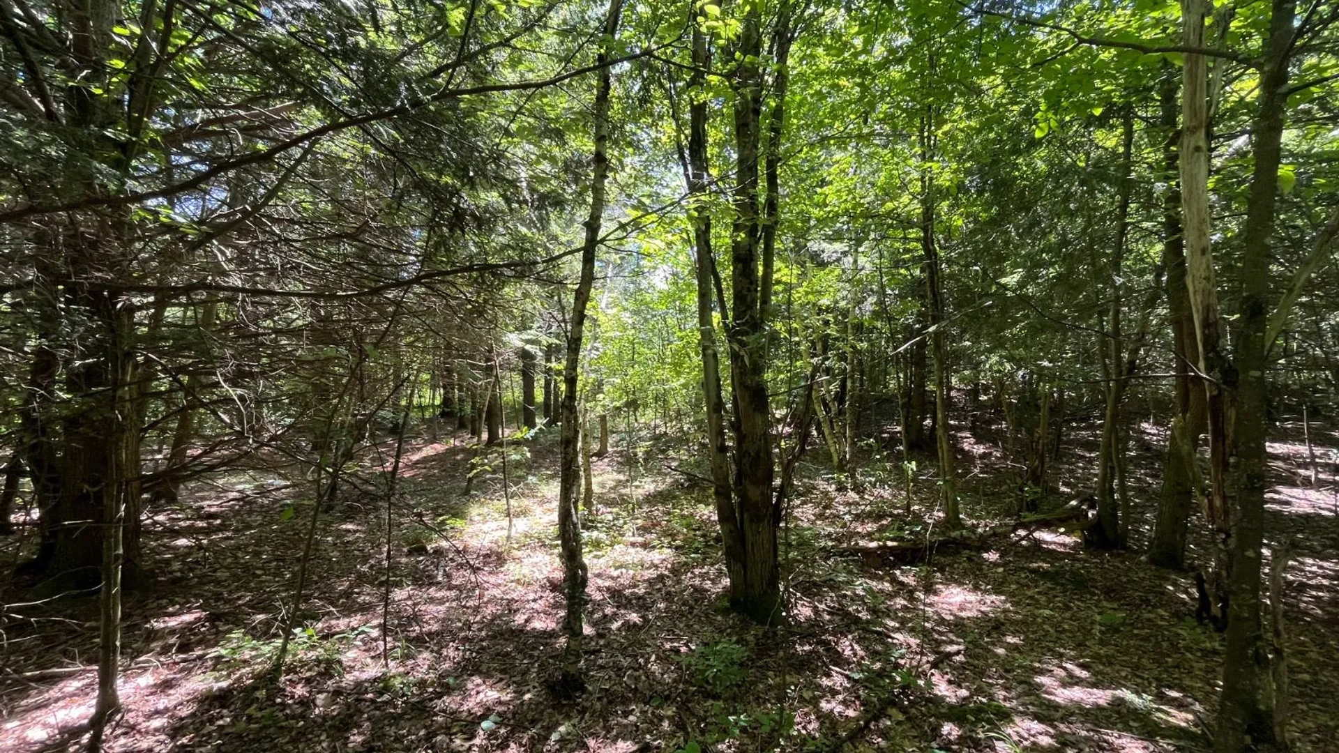 Property at 00 Eddy Pyrites Rd, Canton, NY 13617 15