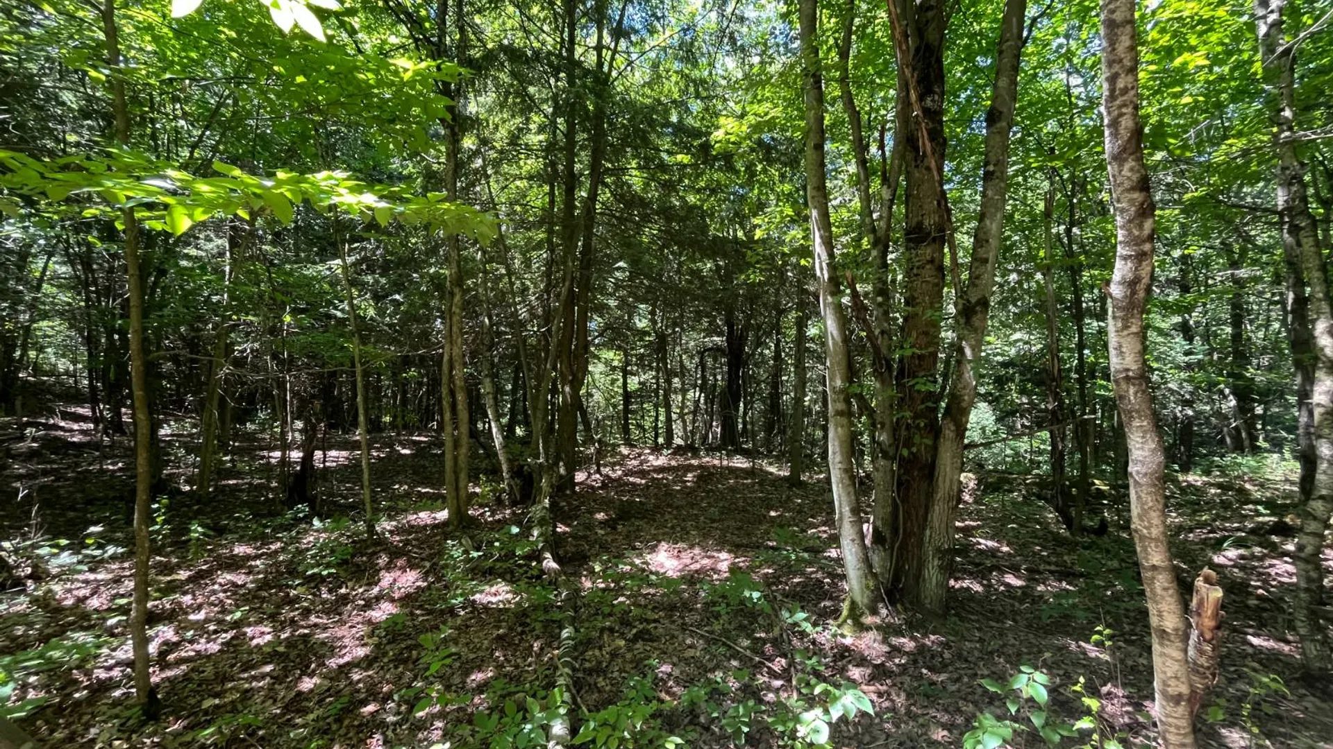 Property at 00 Eddy Pyrites Rd, Canton, NY 13617 16