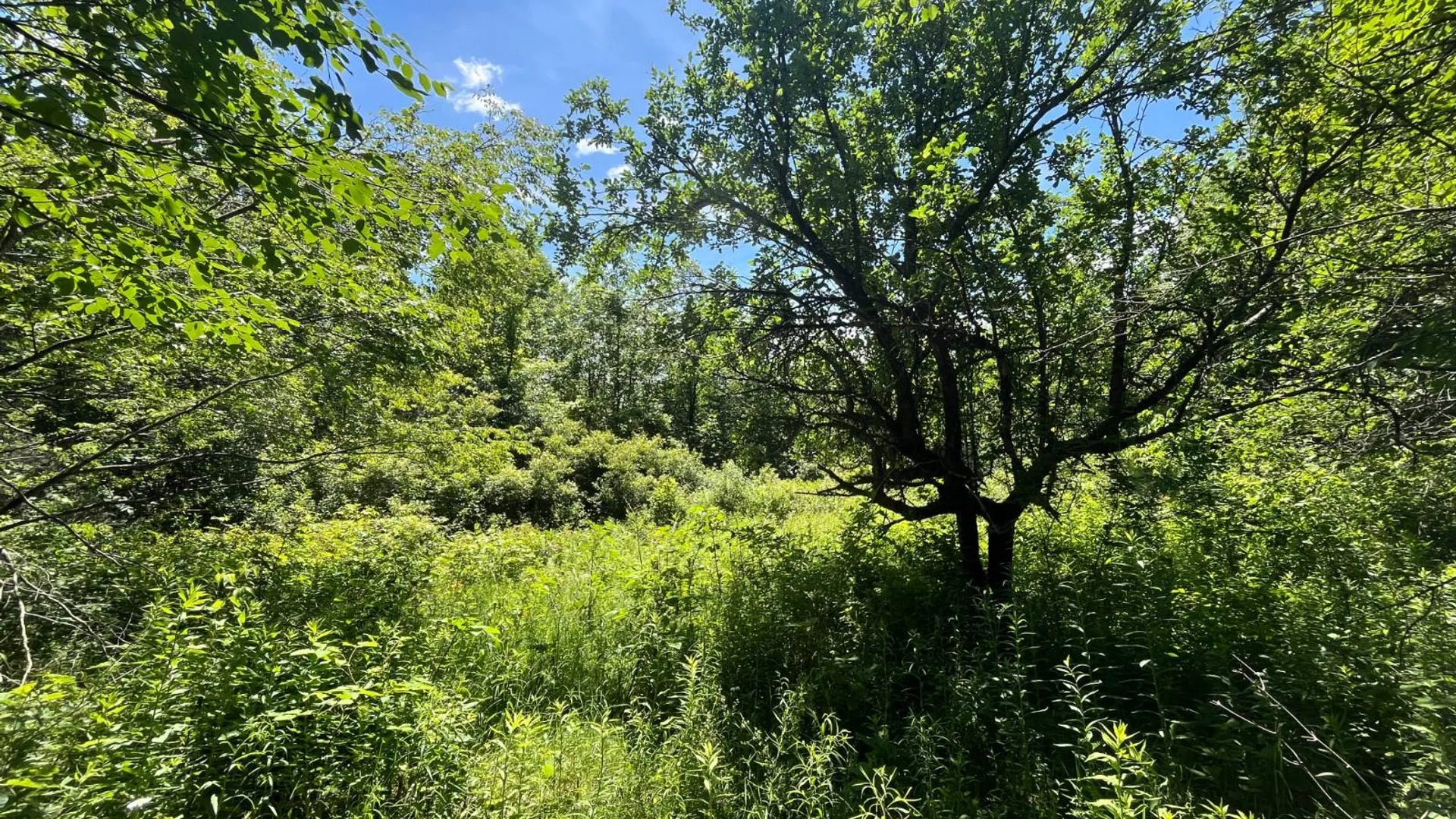 Property at 00 Eddy Pyrites Rd, Canton, NY 13617 17