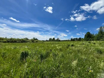 Property at 00 Eddy Pyrites Rd, Canton, NY 13617
