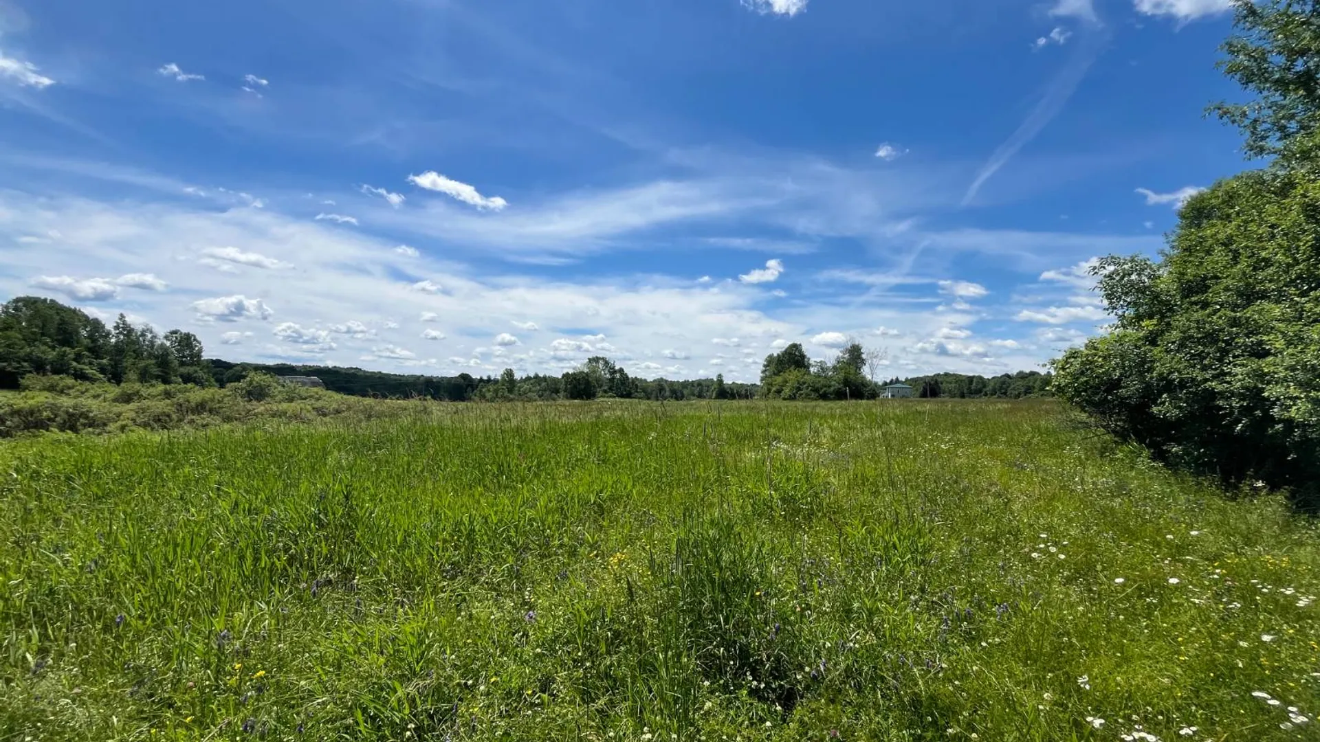 Property at 00 Eddy Pyrites Rd, Canton, NY 13617 5