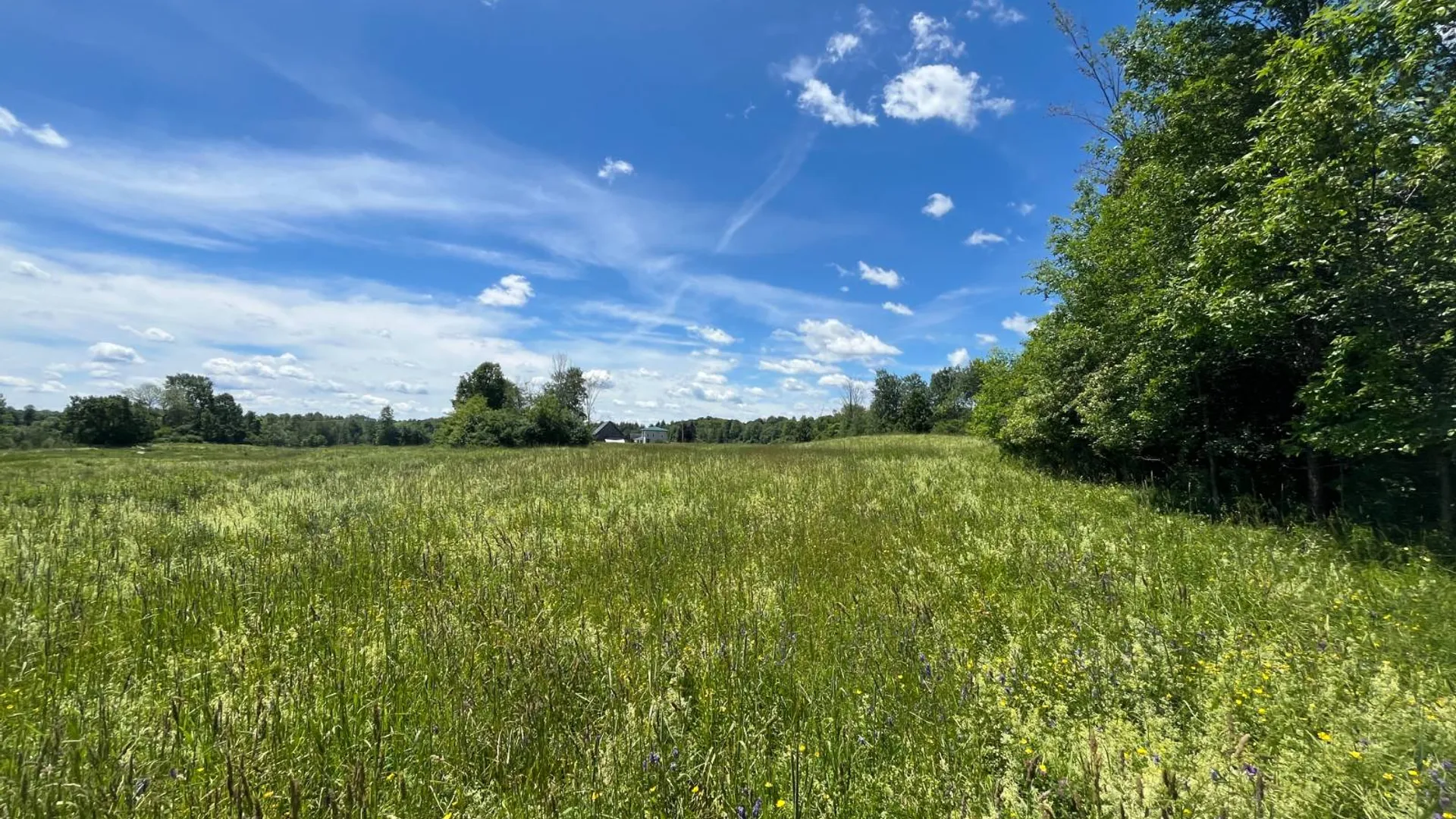 Property at 00 Eddy Pyrites Rd, Canton, NY 13617 6