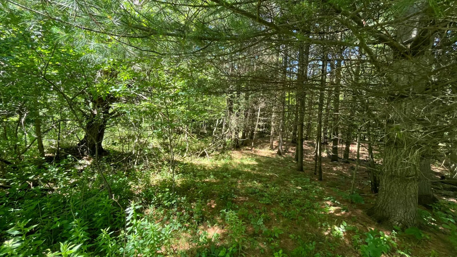 Property at 00 Eddy Pyrites Rd, Canton, NY 13617 7