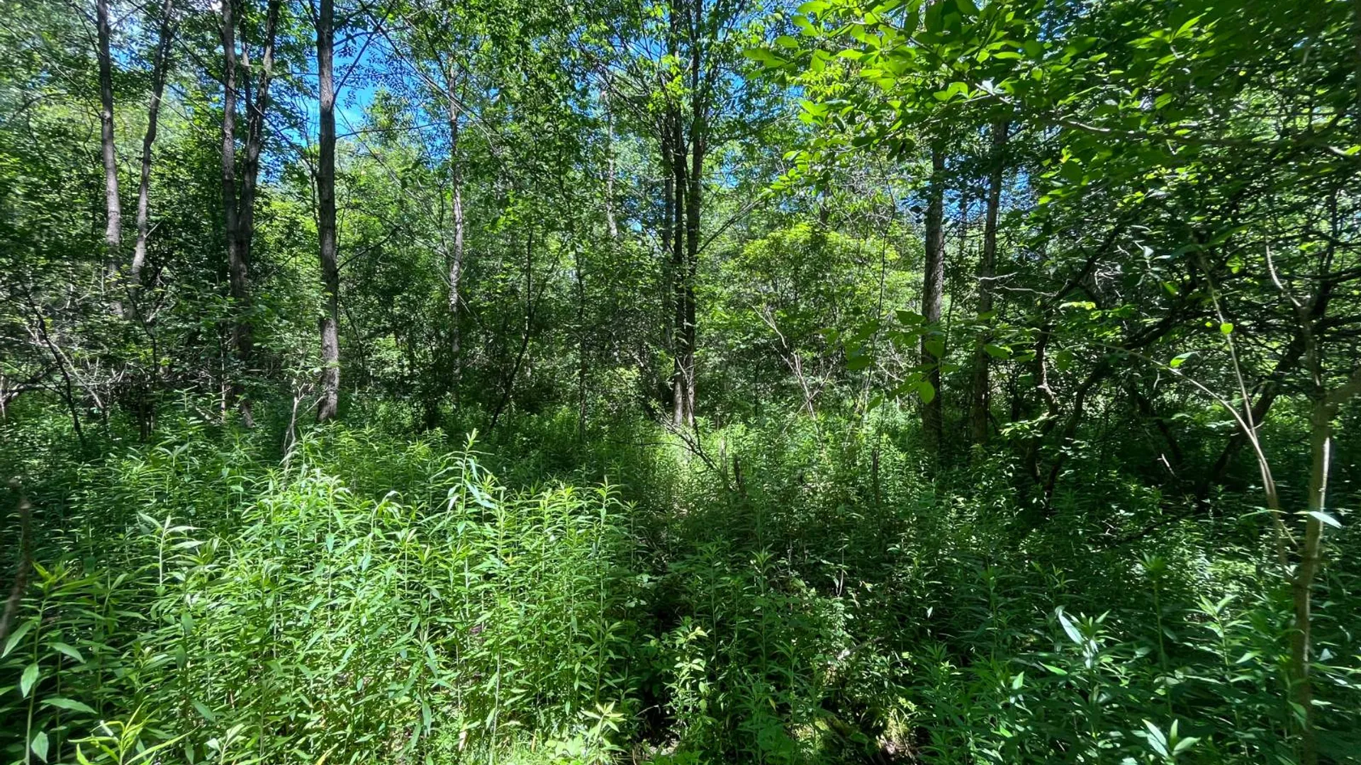 Property at 00 Eddy Pyrites Rd, Canton, NY 13617 9
