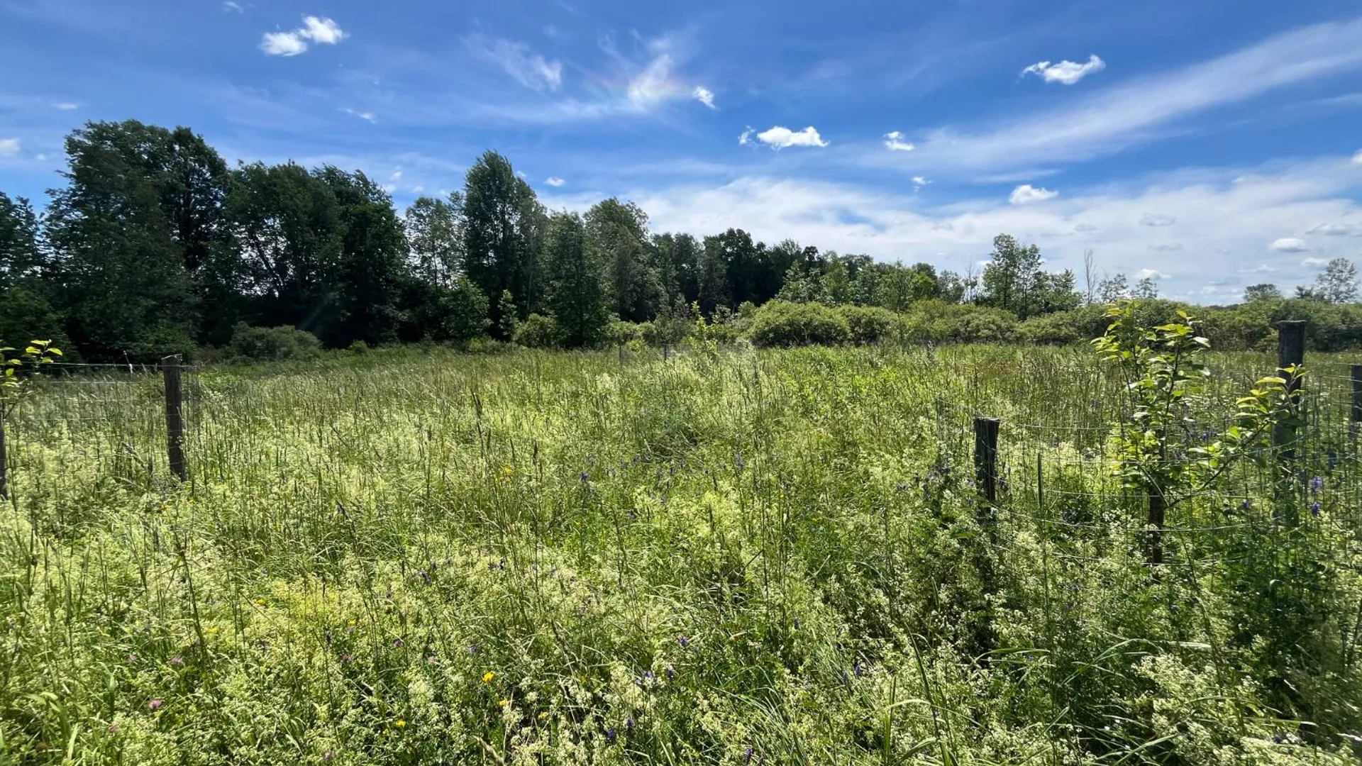 Property at 00 Eddy Pyrites Rd, Canton, NY 13617 10