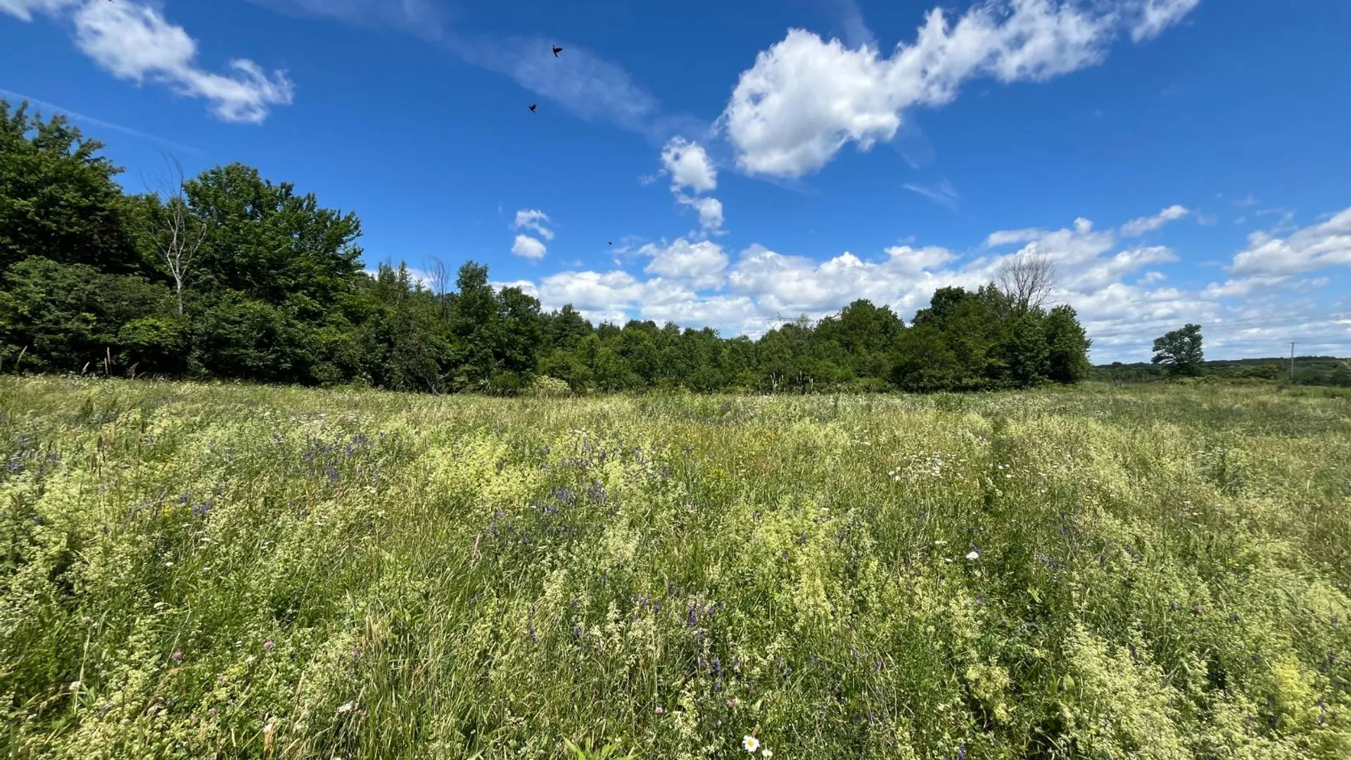 Property at 00 Eddy Pyrites Rd, Canton, NY 13617 11