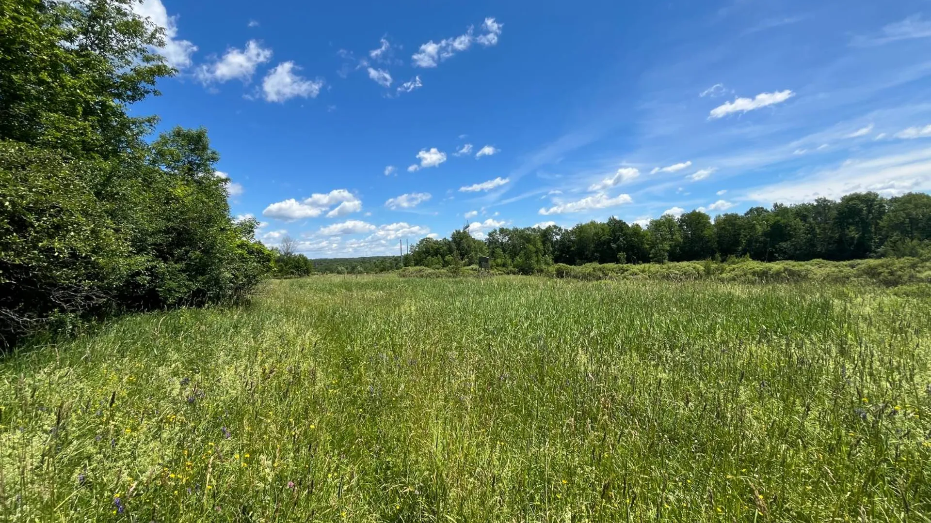 Property at 00 Eddy Pyrites Rd, Canton, NY 13617 12
