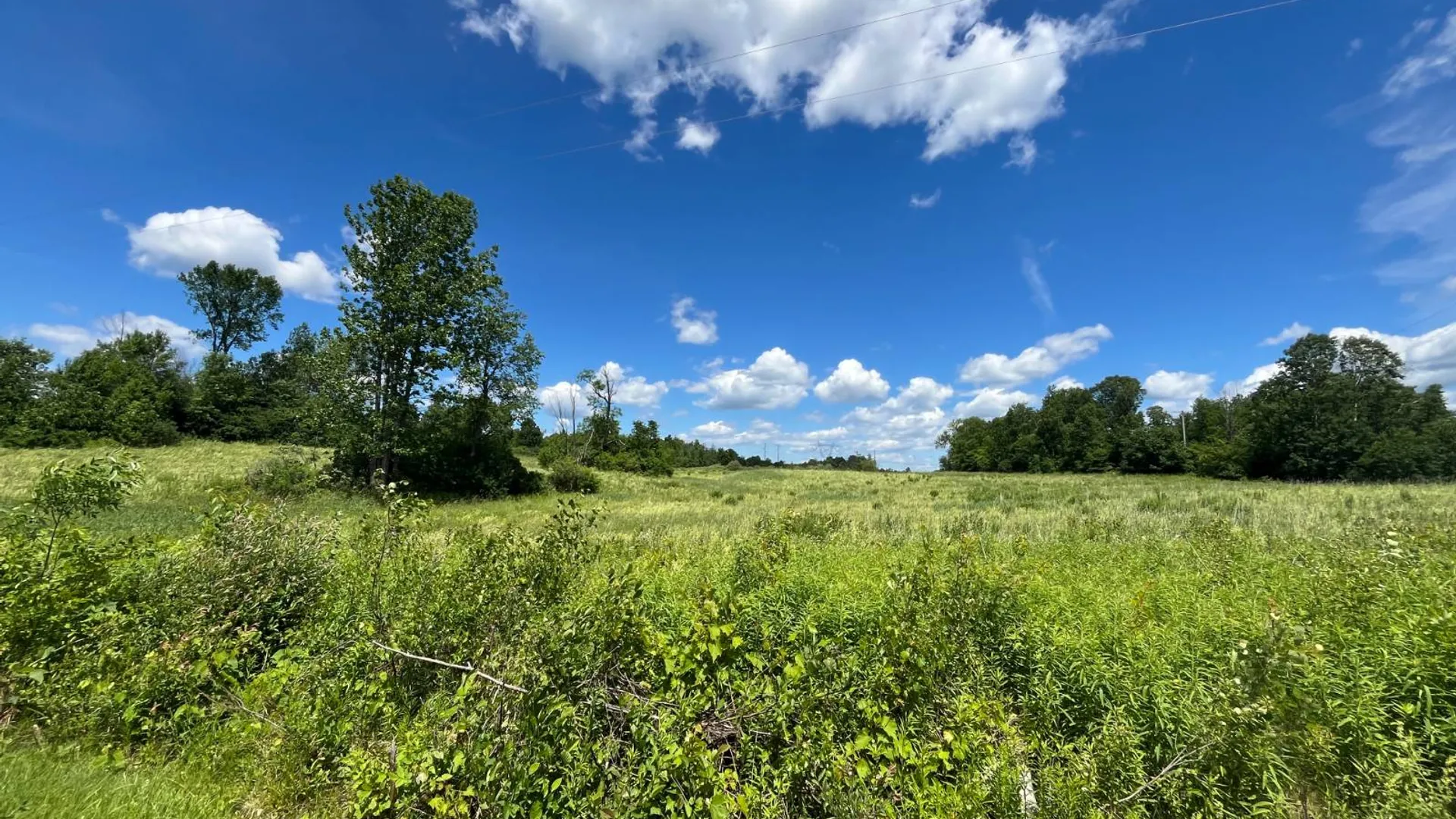 Property at 00 Eddy Pyrites Rd, Canton, NY 13617 14