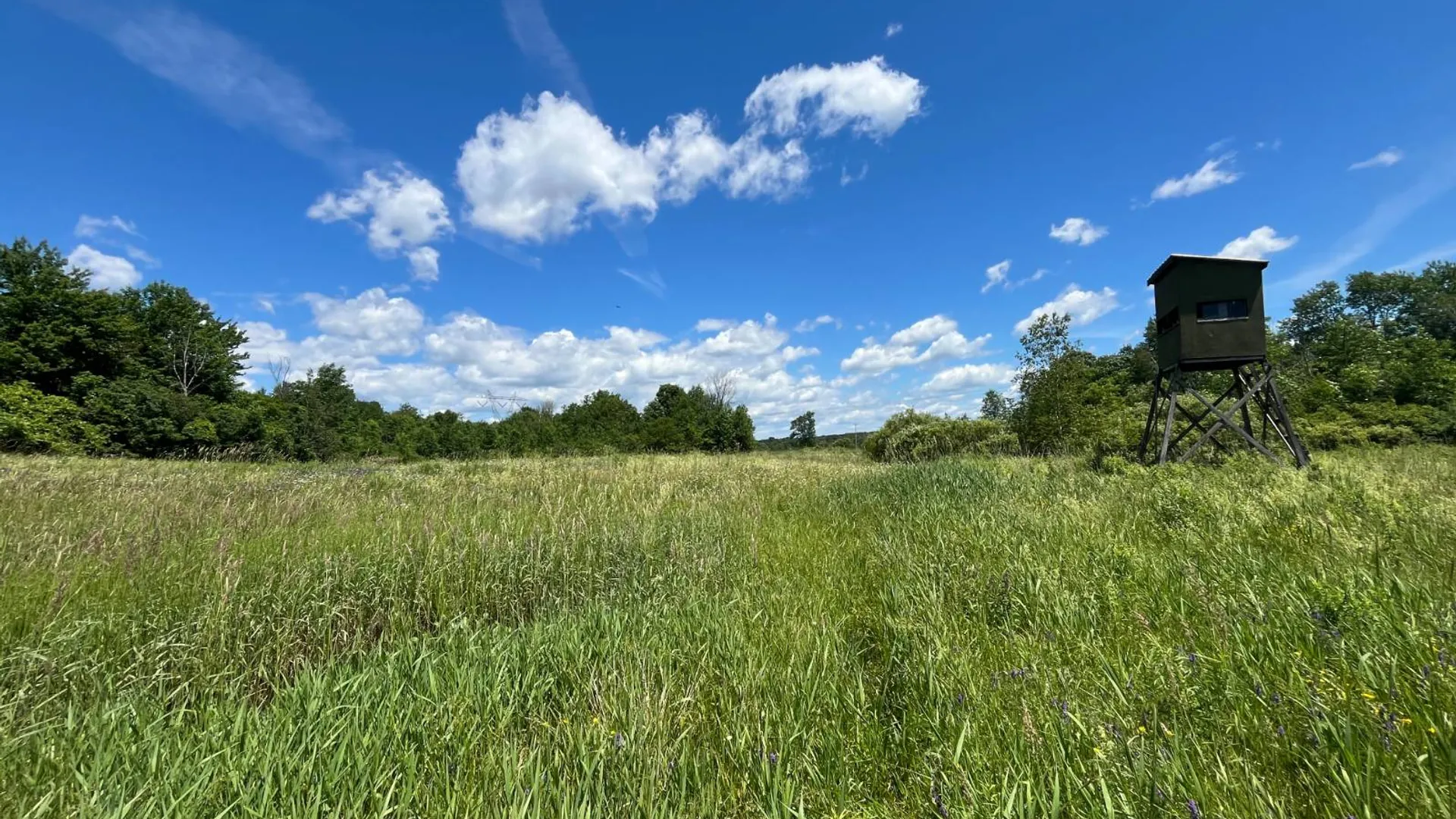 Property at 00 Eddy Pyrites Rd, Canton, NY 13617 2