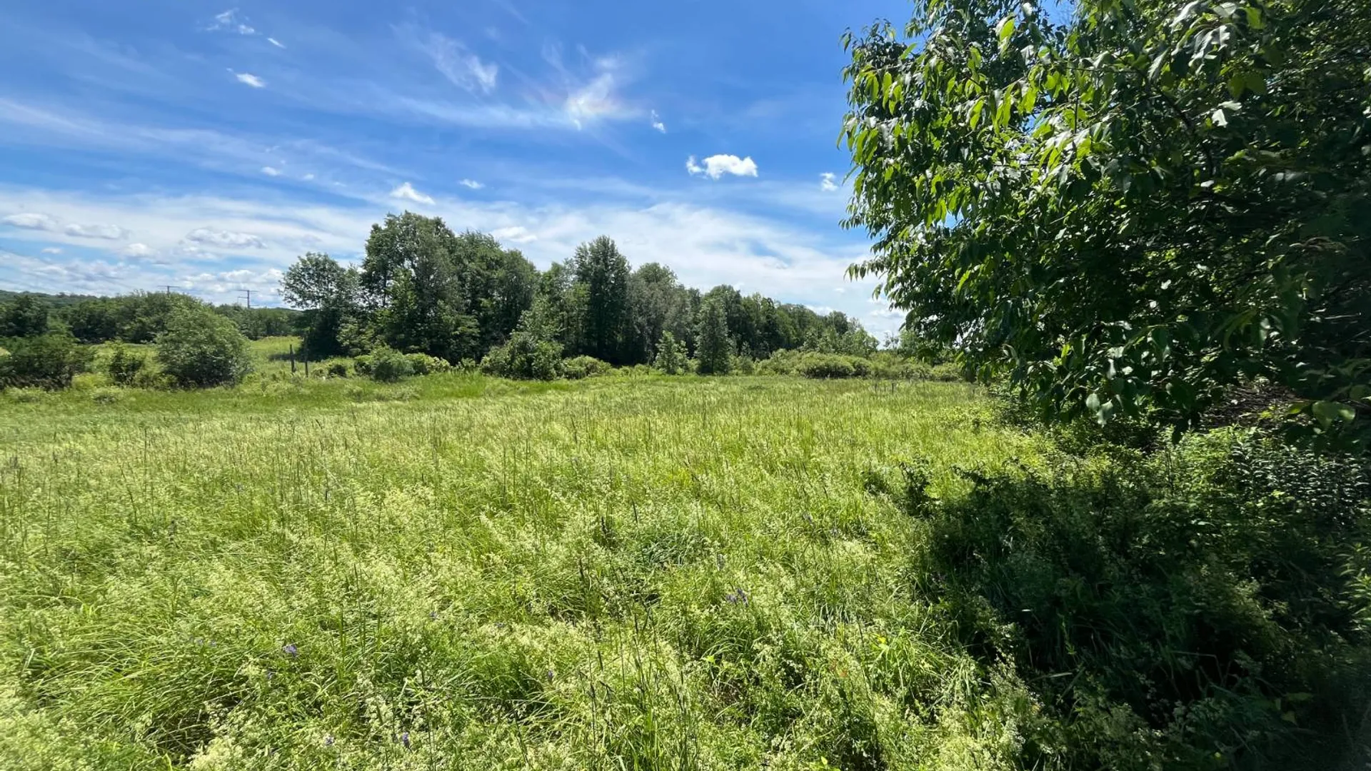 Property at 00 Eddy Pyrites Rd, Canton, NY 13617 3