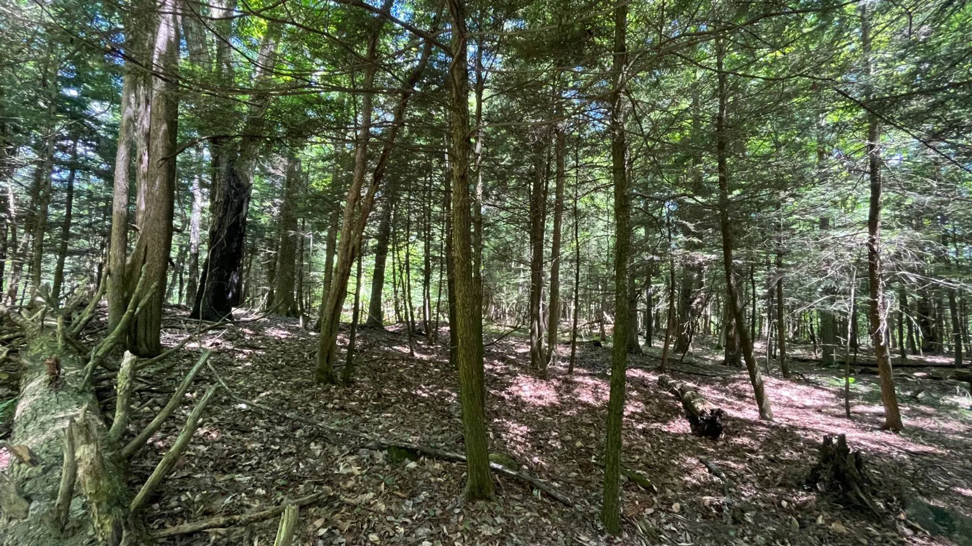 Property at 00 Eddy Pyrites Rd, Canton, NY 13617 4