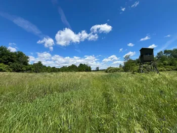 Property at 00 Eddy Pyrites Rd, Canton, NY 13617