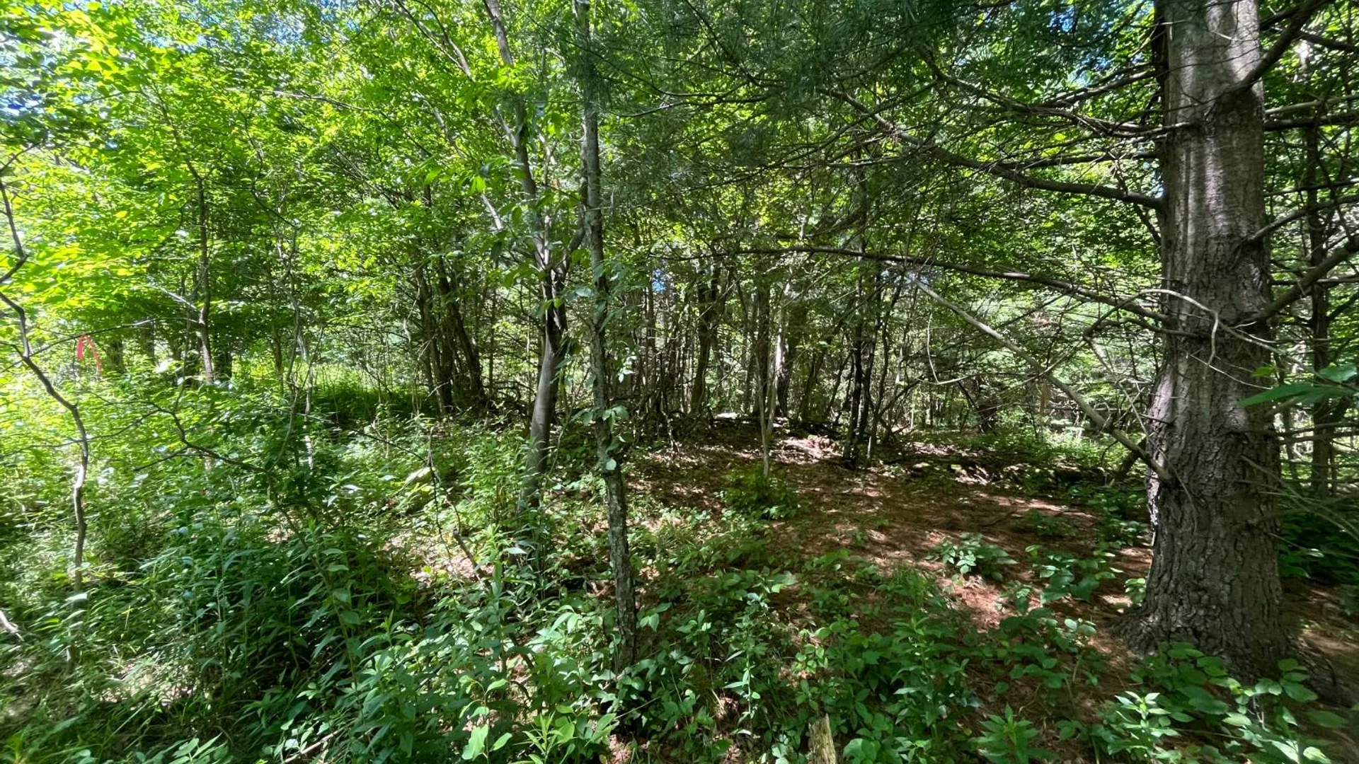 Property at 00 Eddy Pyrites Rd, Canton, NY 13617 5