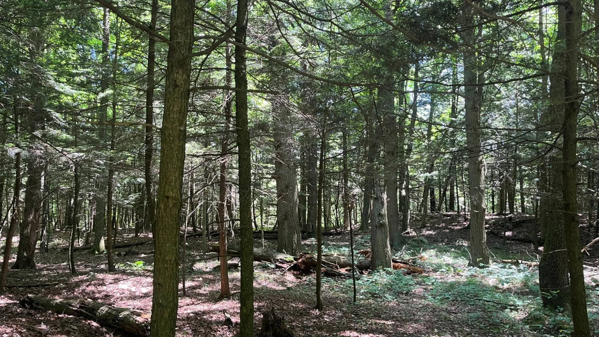 Property at 00 Eddy Pyrites Rd, Canton, NY 13617 6