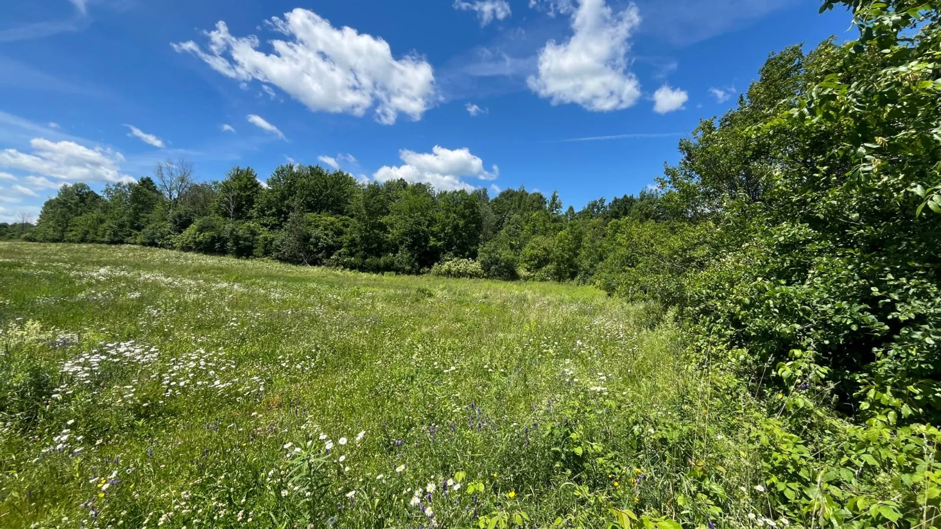 Property at 00 Eddy Pyrites Rd, Canton, NY 13617 8