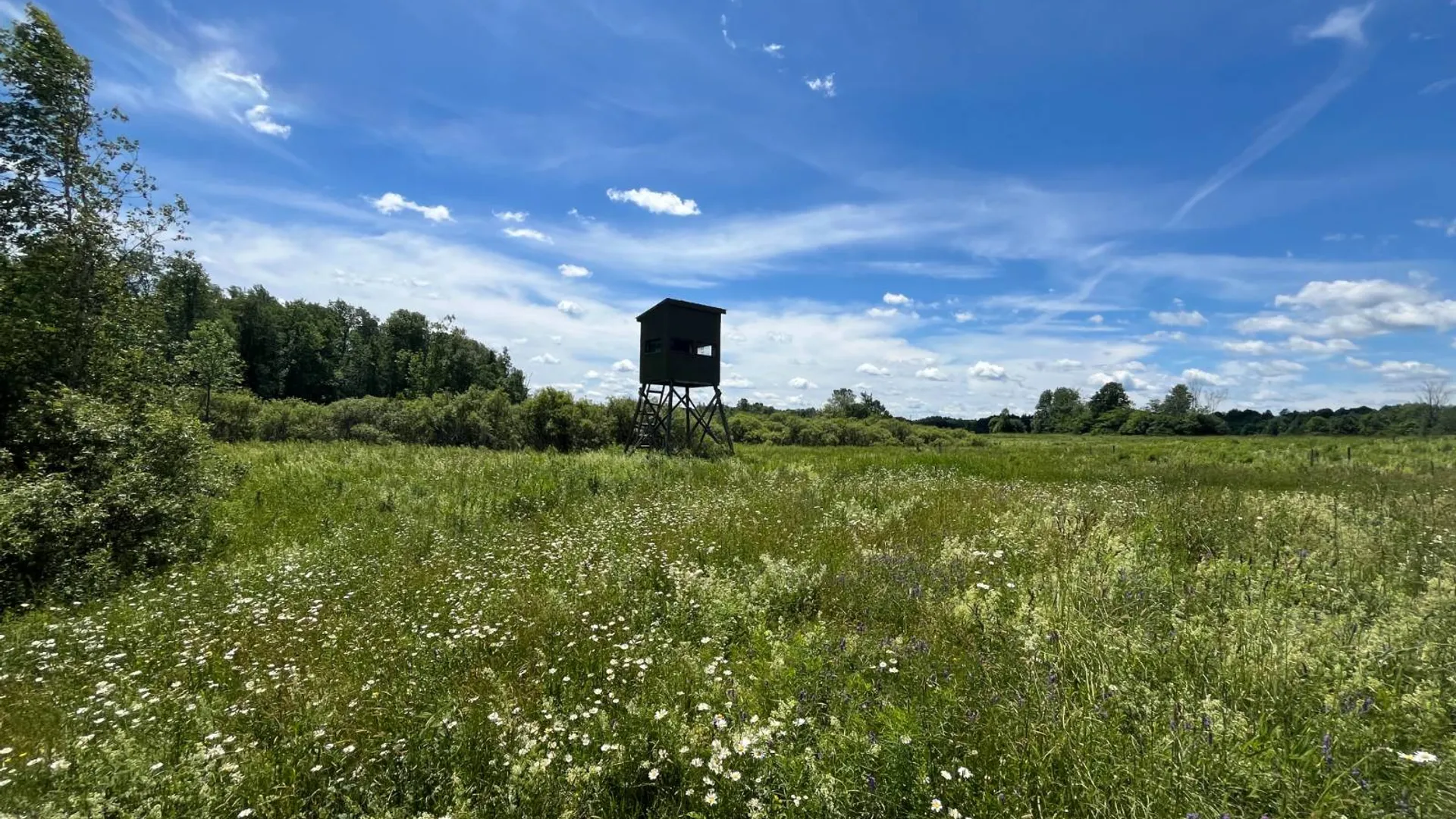 Property at 00 Eddy Pyrites Rd, Canton, NY 13617 9