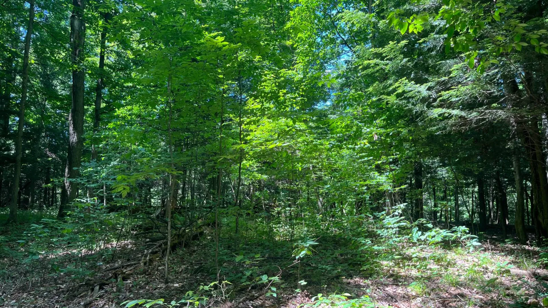 Property at 00 Minor Street Rd, Canton, NY 13617 17