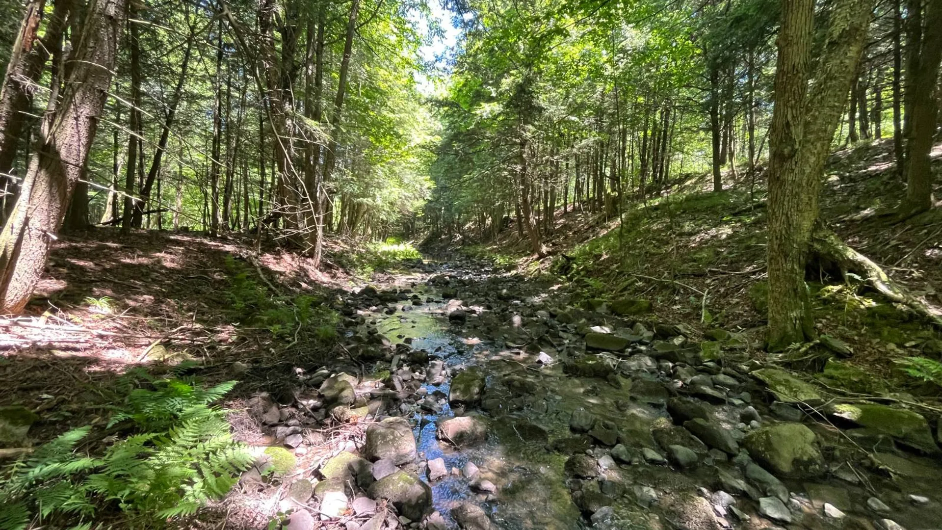 Property at 00 Minor Street Rd, Canton, NY 13617 3
