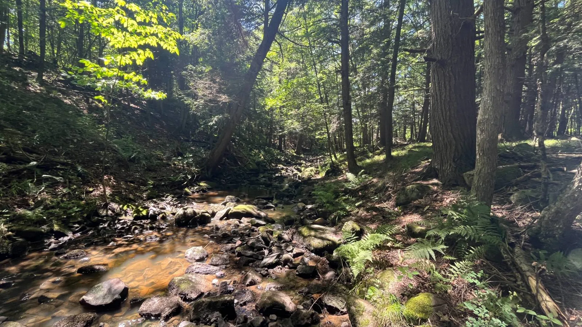 Property at 00 Minor Street Rd, Canton, NY 13617 4