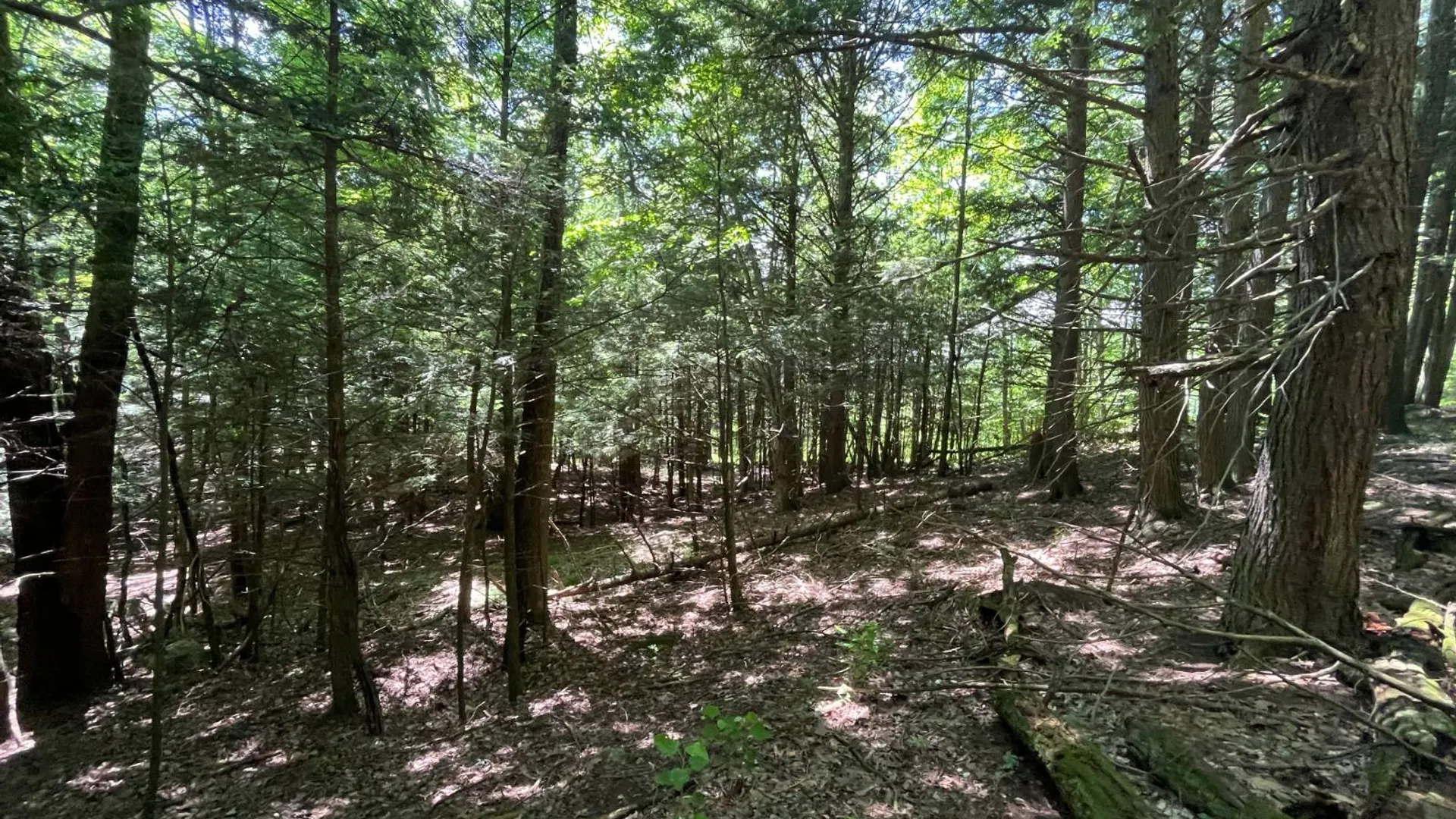 Property at 00 Minor Street Rd, Canton, NY 13617 8