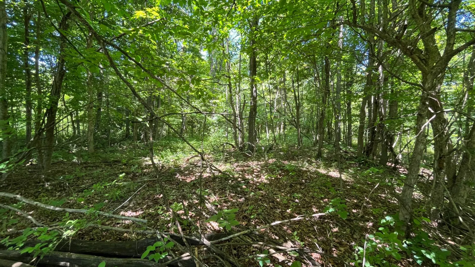 Property at 00 Minor Street Rd, Canton, NY 13617 11