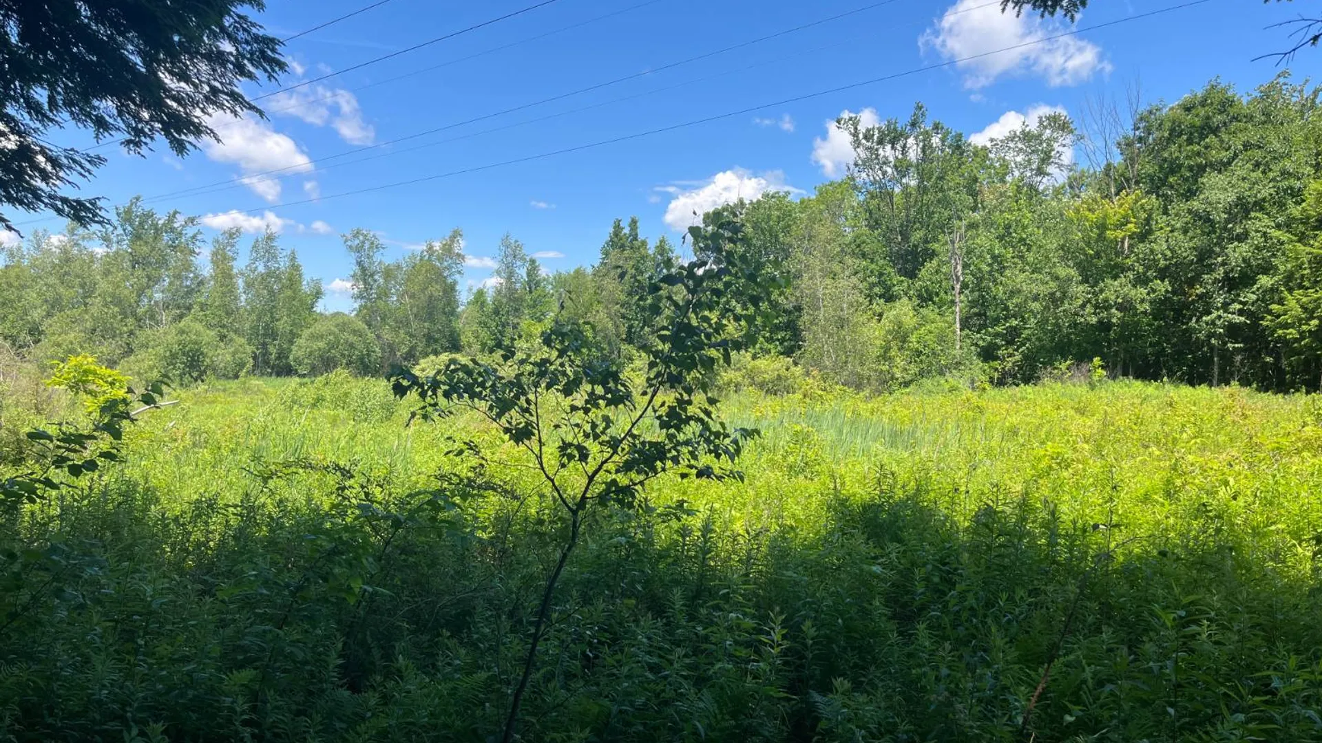 Property at 00 Minor Street Rd, Canton, NY 13617 13
