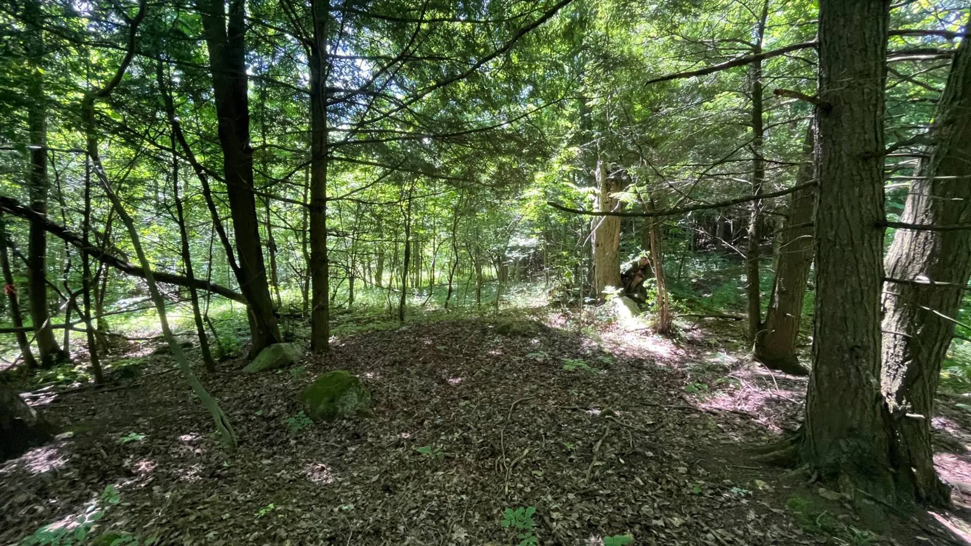 Property at 00 Minor Street Rd, Canton, NY 13617 16