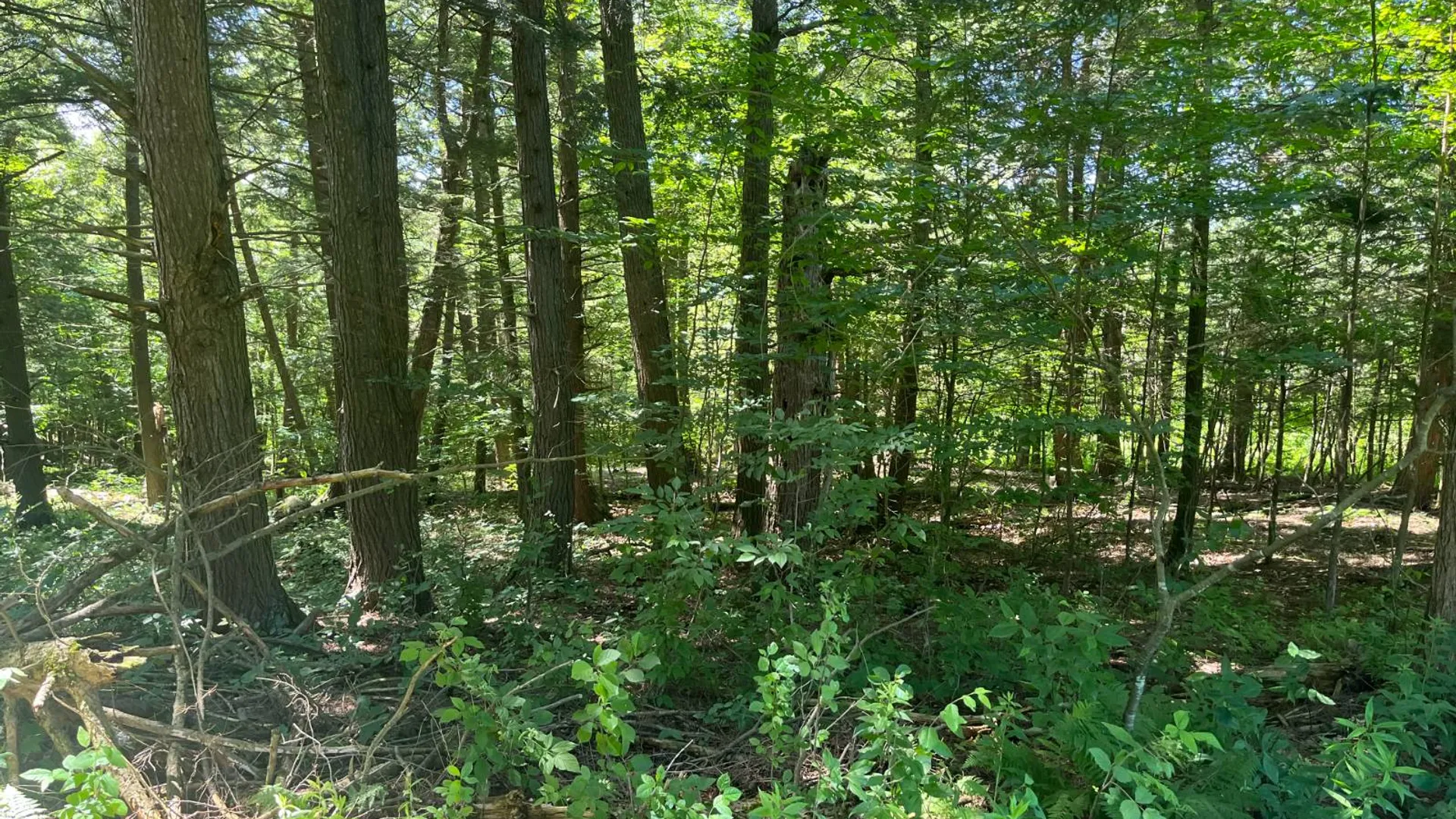 Property at 00 Minor Street Rd, Canton, NY 13617 18