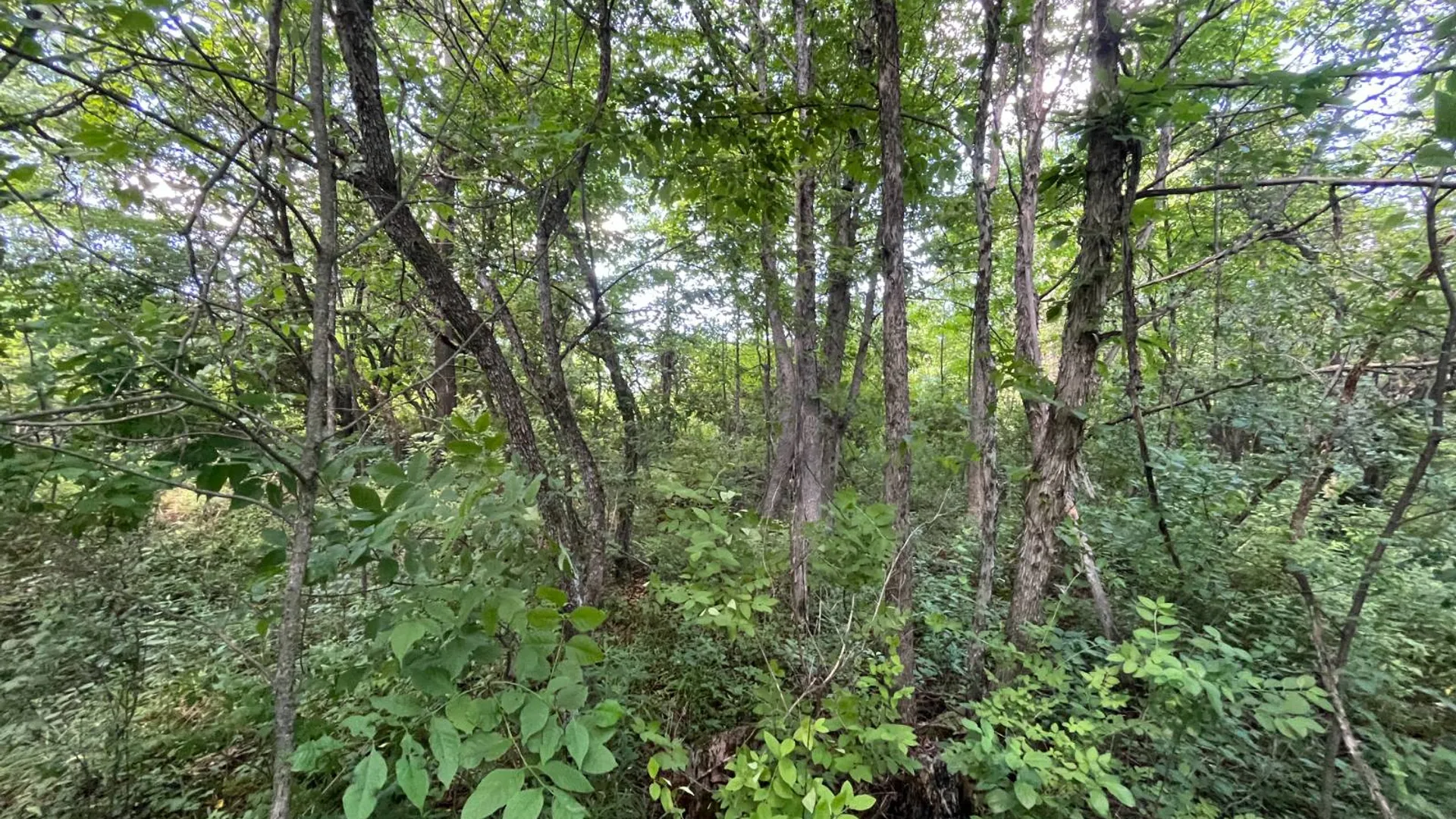 Property at 00 Minor Street Rd, Canton, NY 13617 19