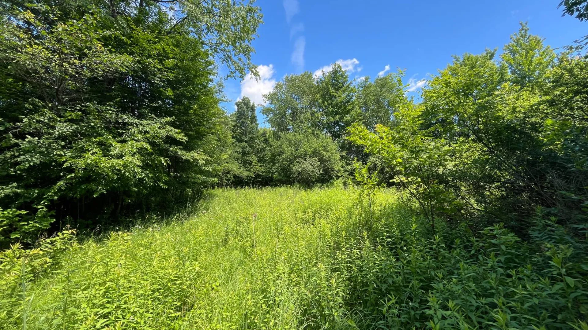 Property at 00 Minor Street Rd, Canton, NY 13617 20
