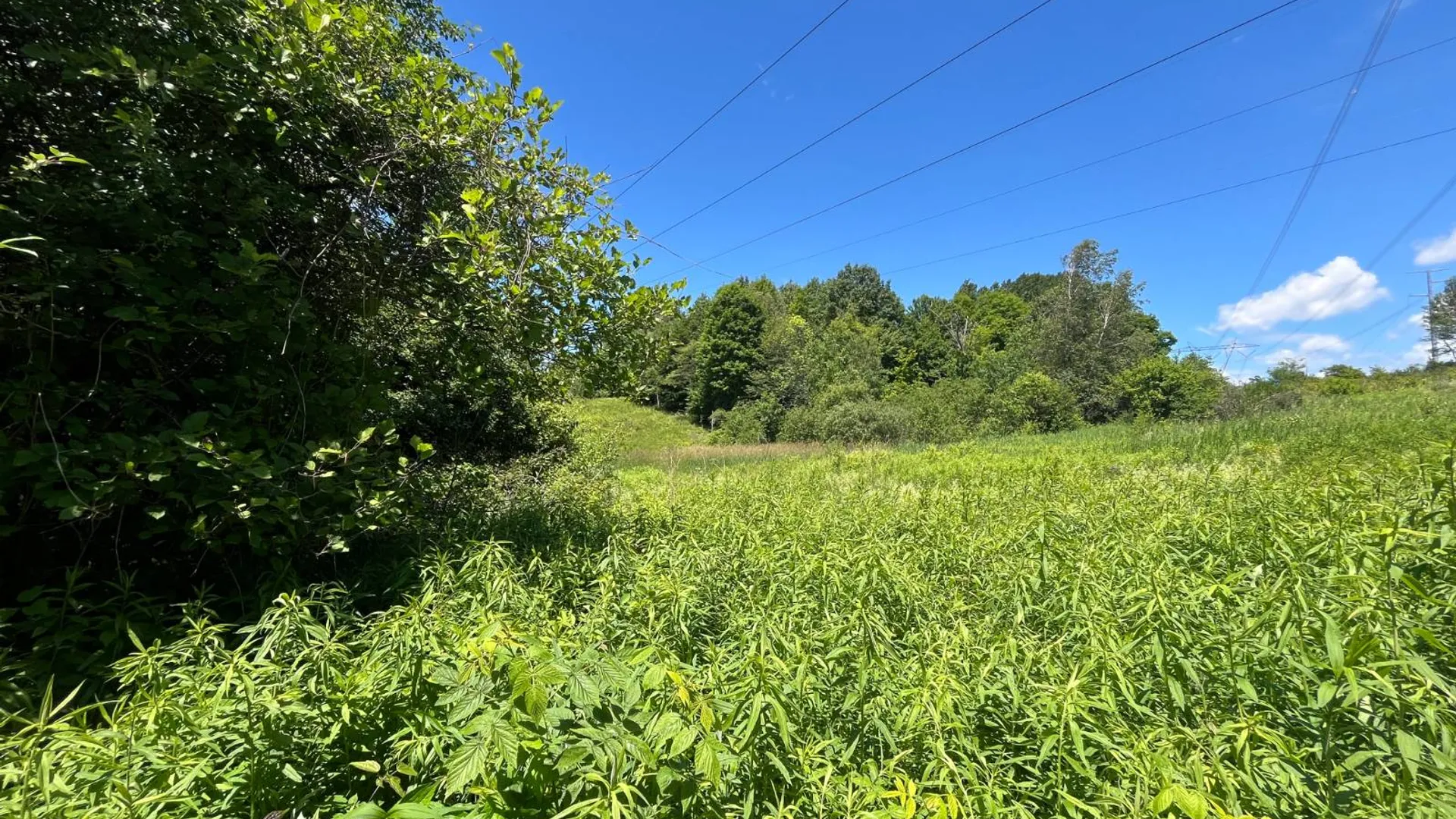Property at 00 Minor Street Rd, Canton, NY 13617 3