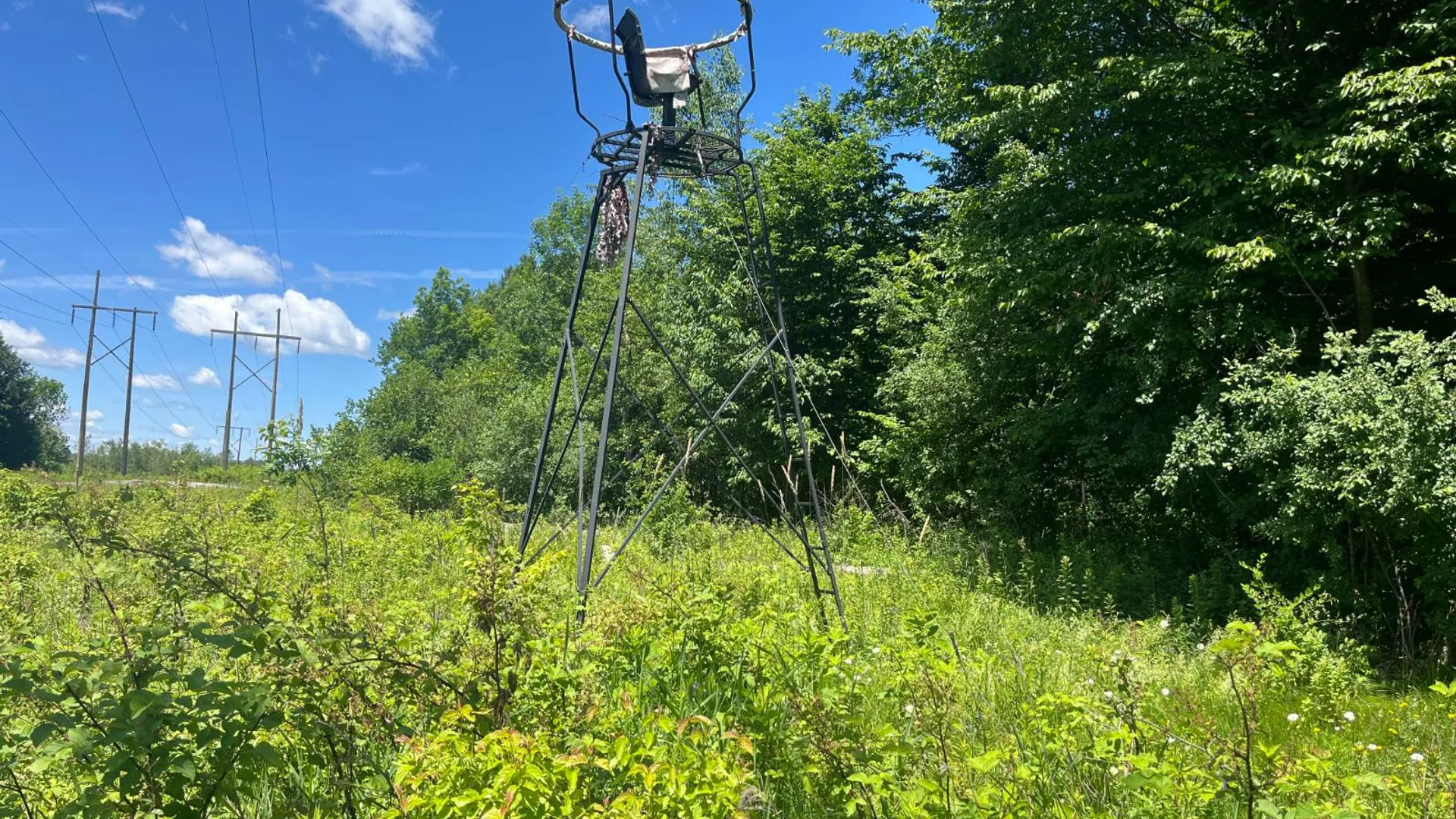 Property at 00 Minor Street Rd, Canton, NY 13617 4