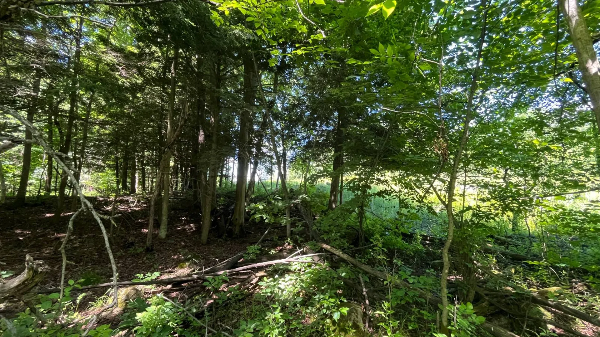 Property at 00 Minor Street Rd, Canton, NY 13617 5