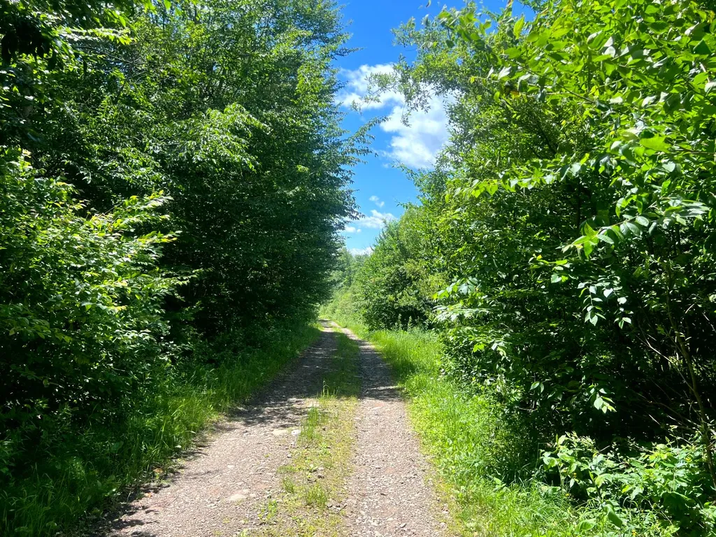 Property at Lot 8 Yorkland Rd, Annsville, NY 13471
