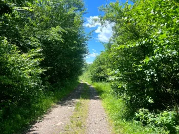 Property at Lot 8 Yorkland Rd, Annsville, NY 13471