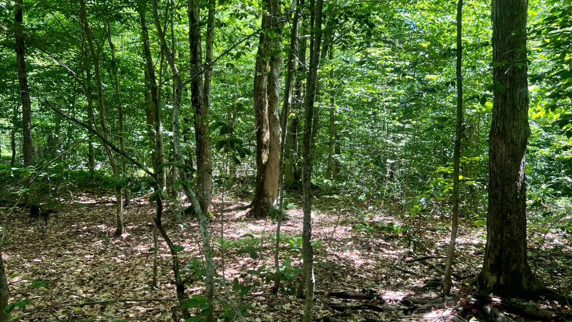Property at Lot 8 Yorkland Rd, Annsville, NY 13471 3
