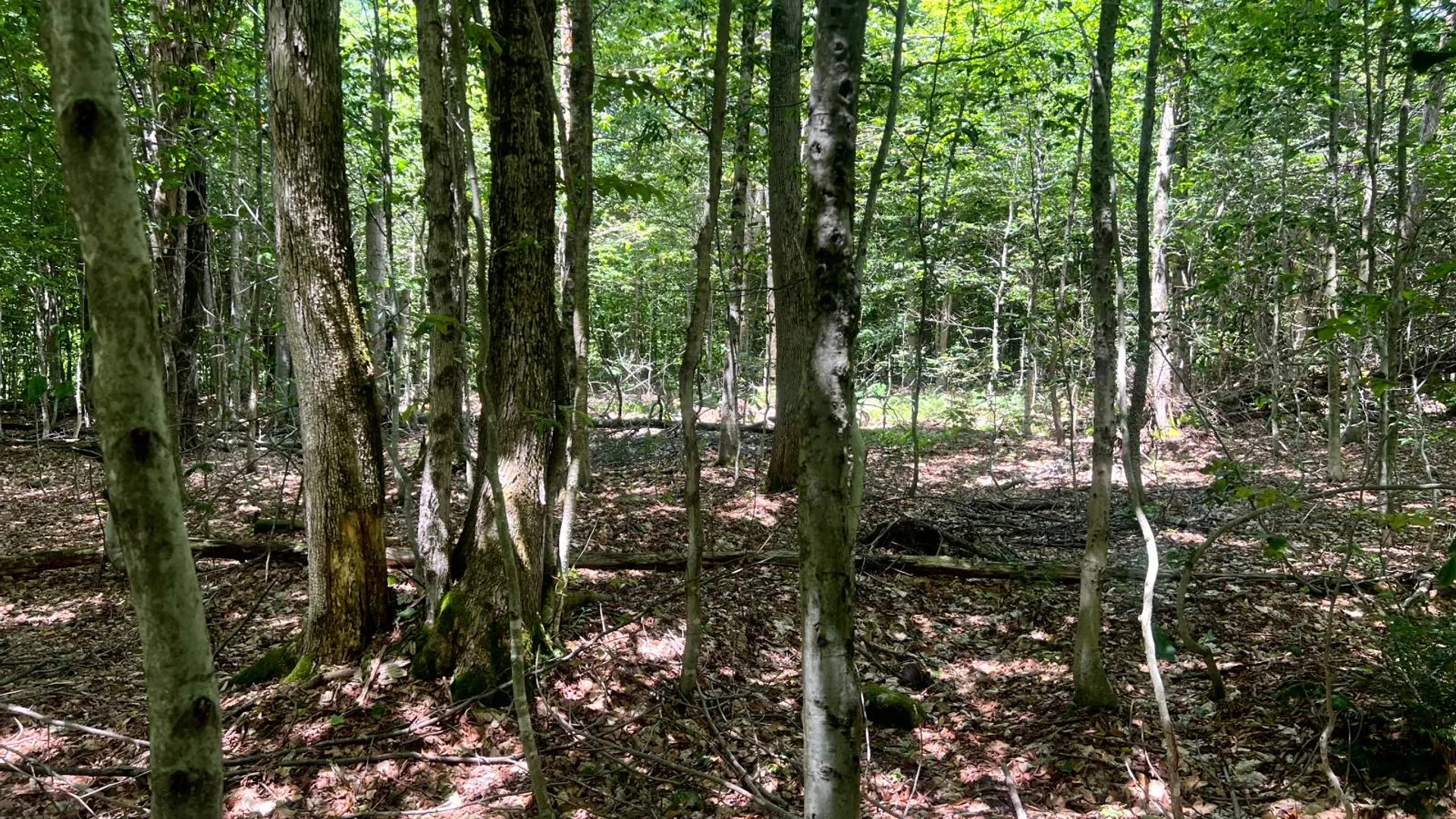 Property at Lot 8 Yorkland Rd, Annsville, NY 13471 4
