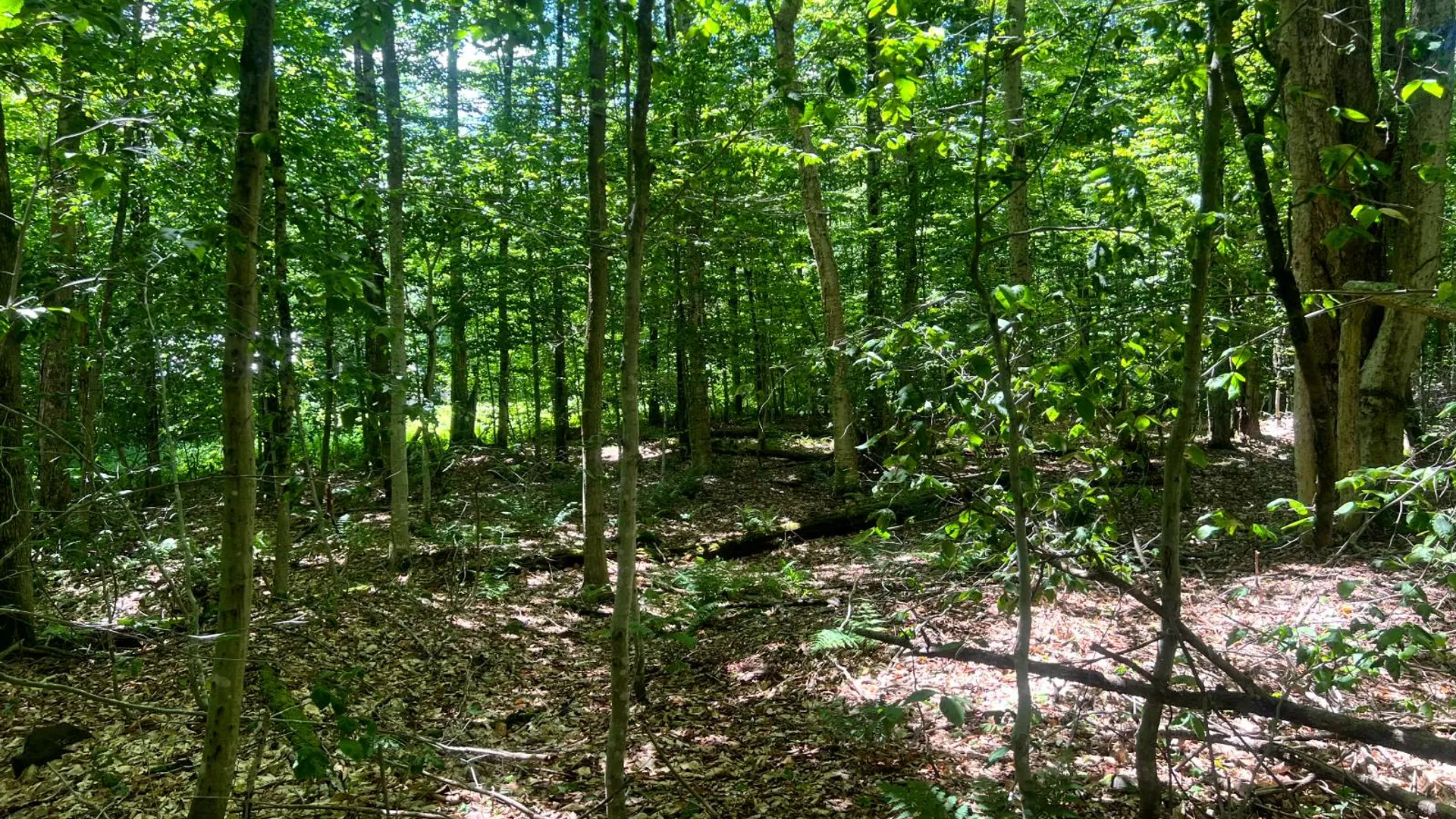 Property at Lot 8 Yorkland Rd, Annsville, NY 13471 5